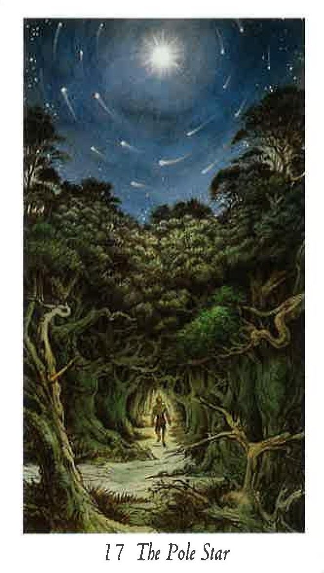 The Wildwood Tarot