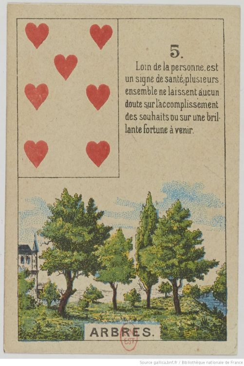 5. Der Baum : Geduld, Energie, Wachstum, Weitergabe