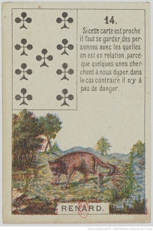 14. Der Fuchs : List, Kühnheit, Misstrauen, Vorsicht
