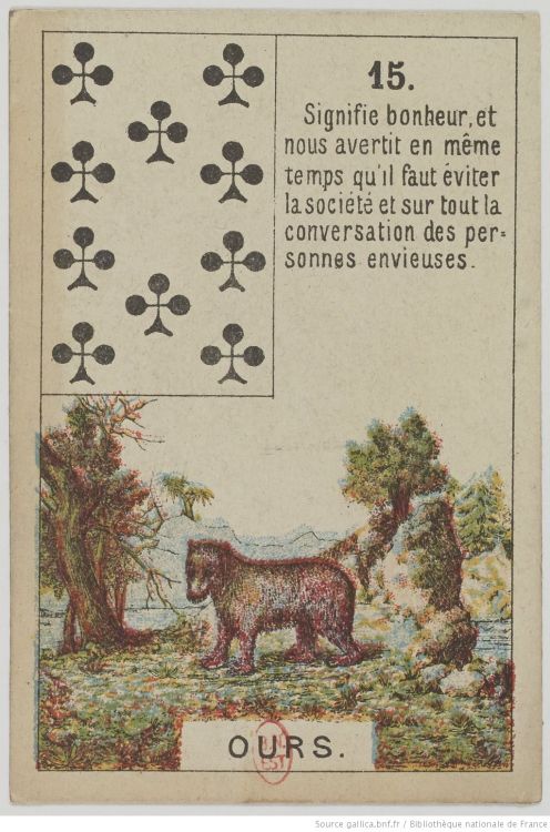 15. Der Bär : Kraft, Mut, Wild, Einsamkeit, Winterschlaf