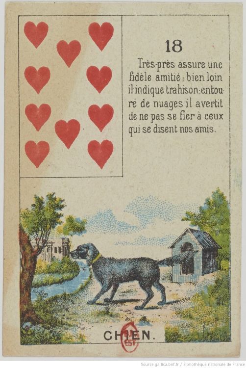 18. Der Hund : Freundschaft, Treue, Loyalität, Vertrauen