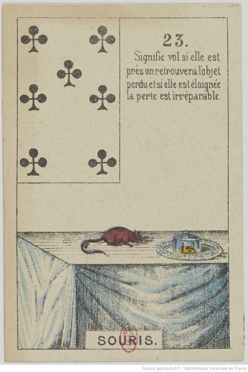 23. Die Mäuse : Verluste, Stress, Vorräte, Zuflucht, Sorge um Details