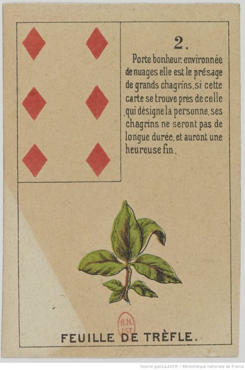 Choose your YES card