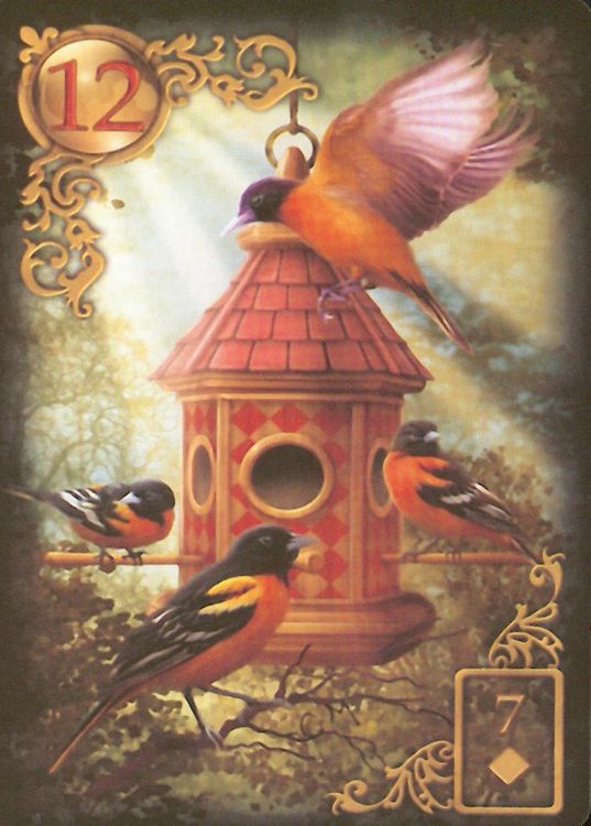 12 - Die Vögel