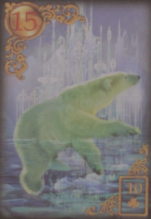 15 - Der Bär