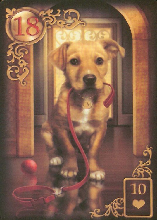18 - Der Hund