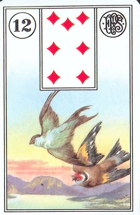 12 - Die Vögel