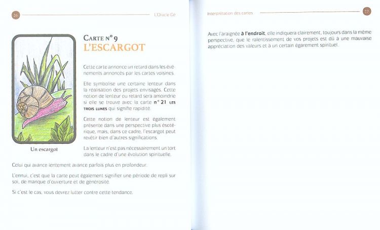 The book