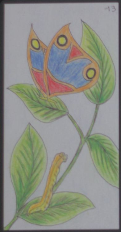The cards I like