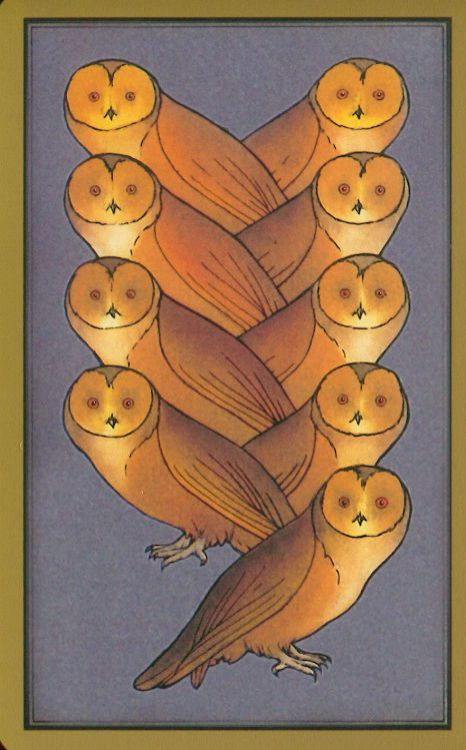 The owl cards