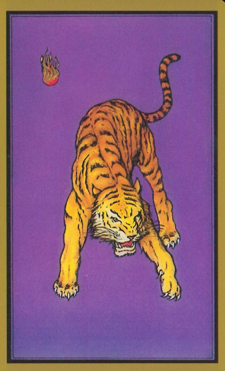 The cards I like