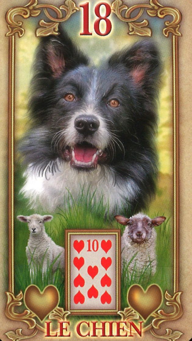 18 - Der Hund